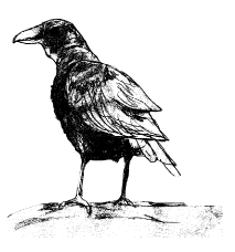 Bird1